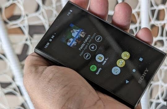 Sony NW-A306 Portable Audio Player