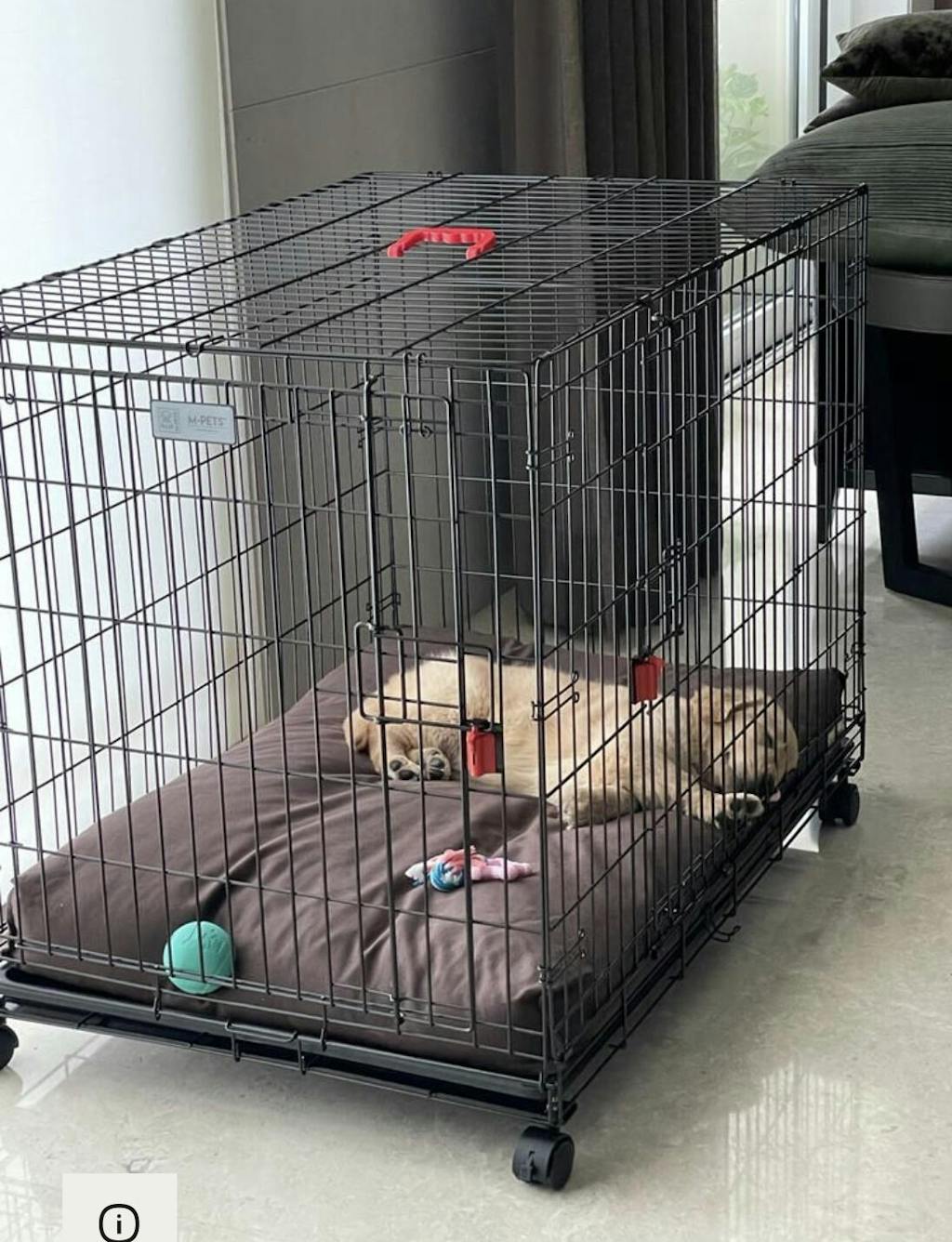 MPets Voyager Wire Crate with 2 Doors & wheels Best Dog Crates