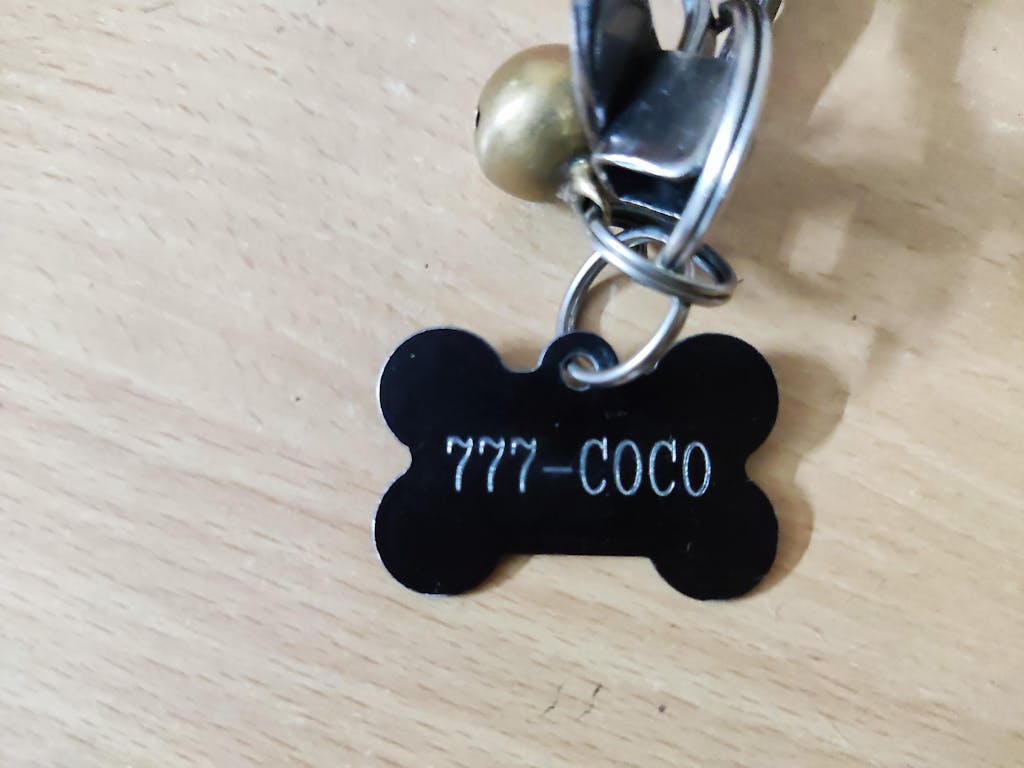 Personalised Dog Name Tags Online India Heads Up For Tails