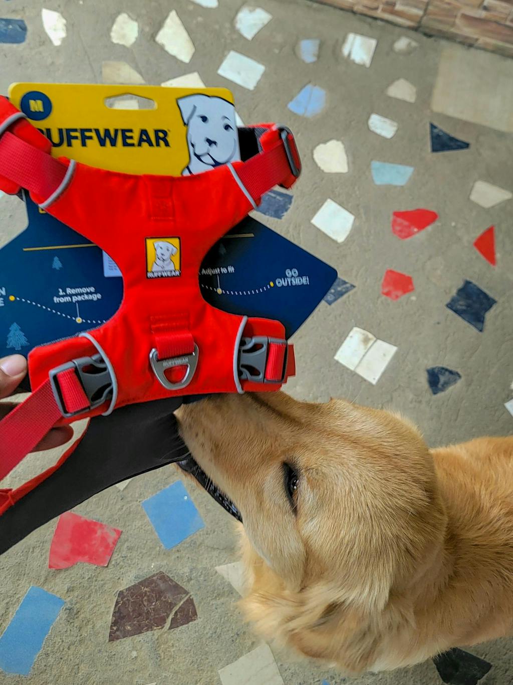 Ruffwear Front Range Harness New Design Available in XXS to XL