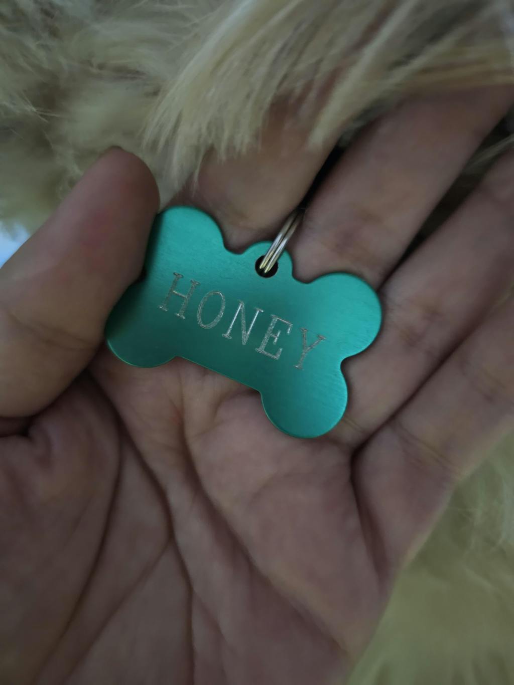 personalised-dog-name-tags-online-india-heads-up-for-tails