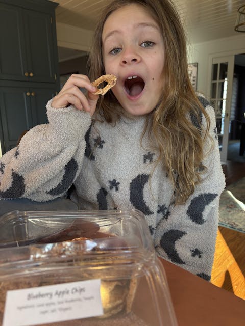 Blueberry Apple Chips