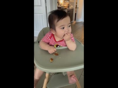 Gluten Free Organic Blueberry Vanilla Pancake Mix 12 oz (340g)