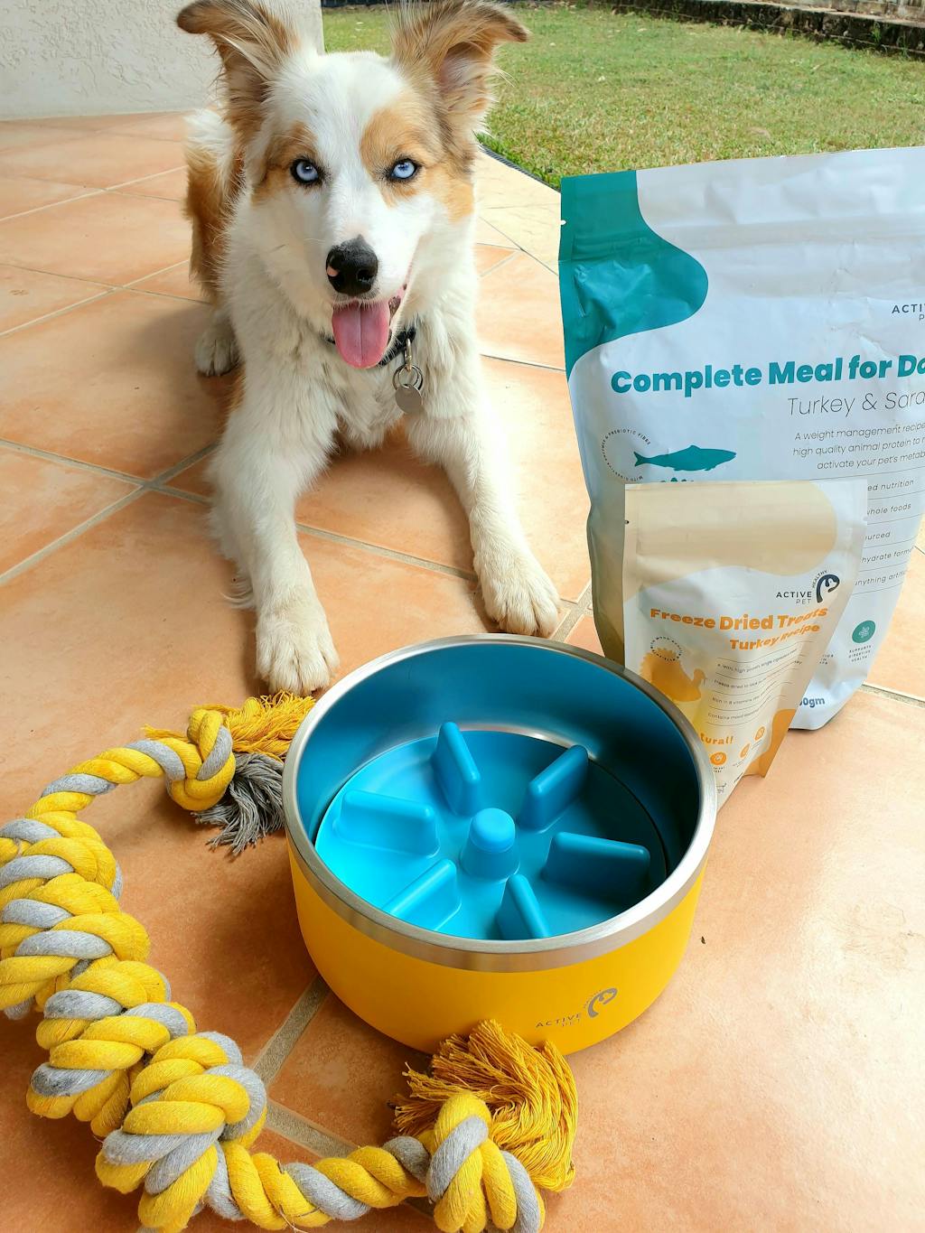 Ultimate Recipe & Health Starter Pack For Dogs Healthy Active Pet