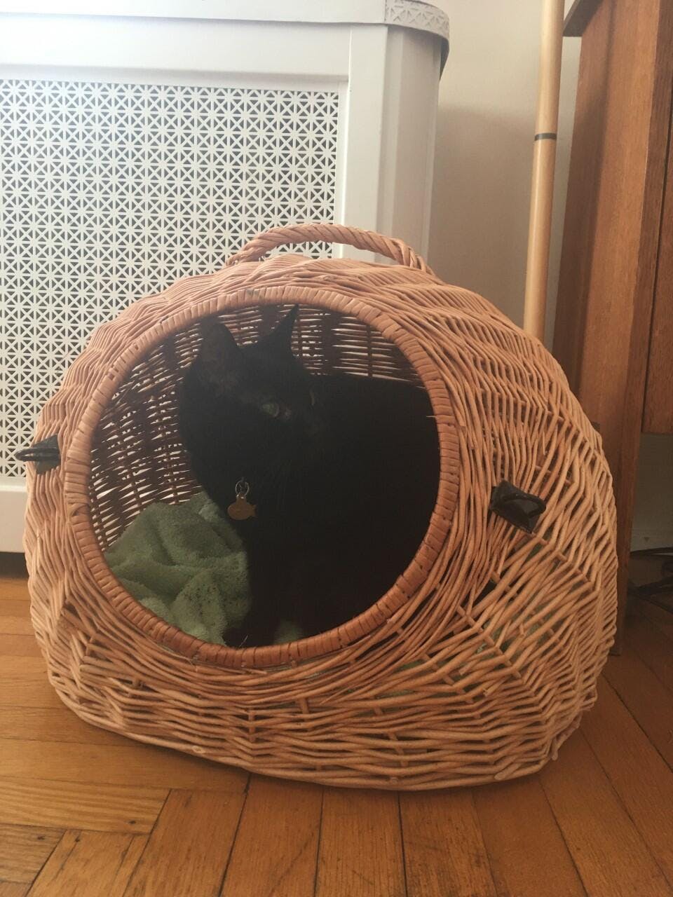 Wicker cat carrier pets at home shops