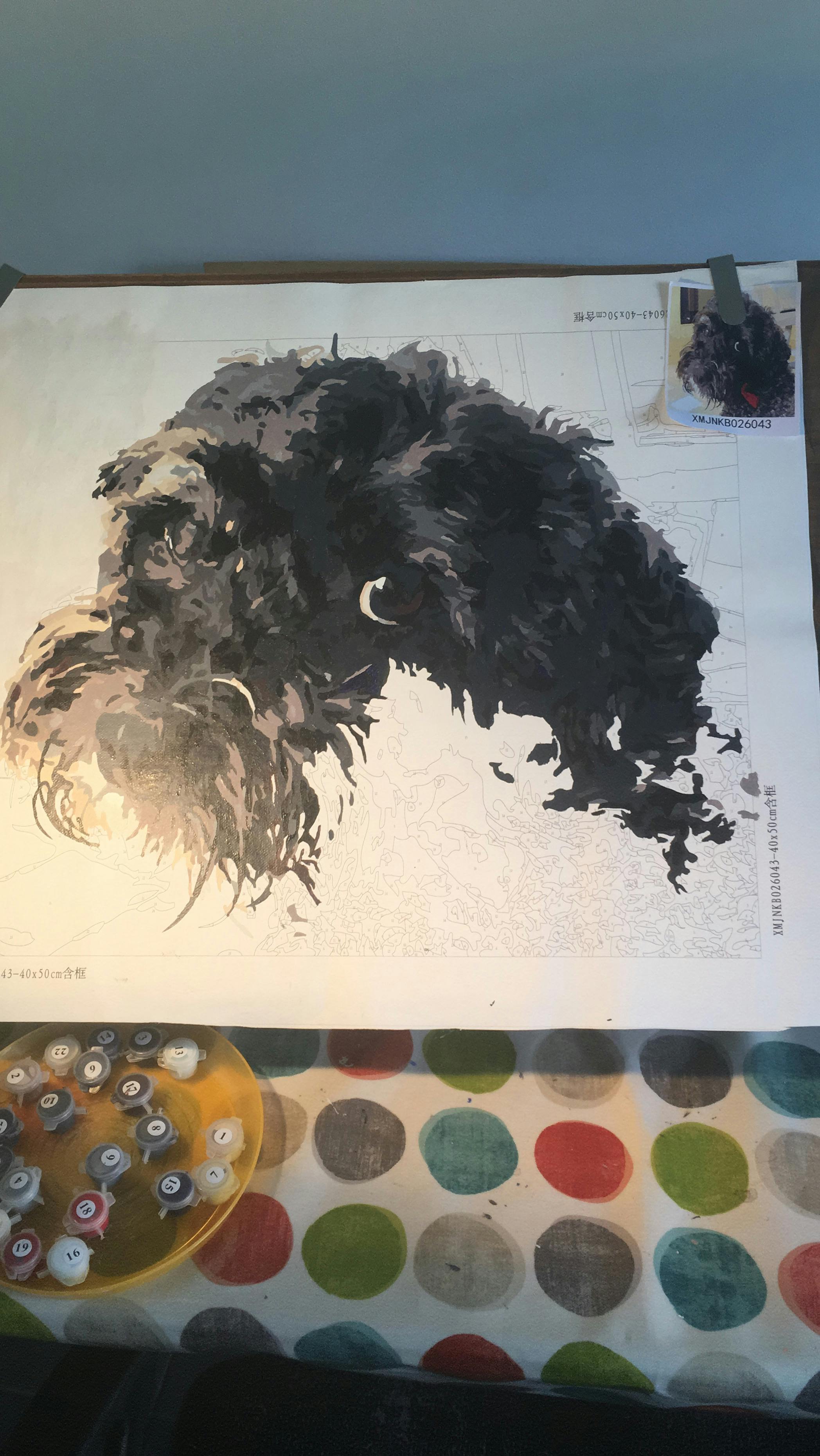 Personality Photo Customized DIY Paint By Numbers Kits HedyArt