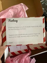 (NEW CONDITION) 5 Bookish Blind Dates