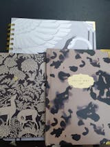 Petite 2023 Weekly Planner: Tortoise