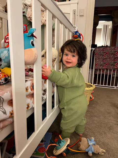 Merino Fleece Sleepsuit with Sleeves Pistachio Green