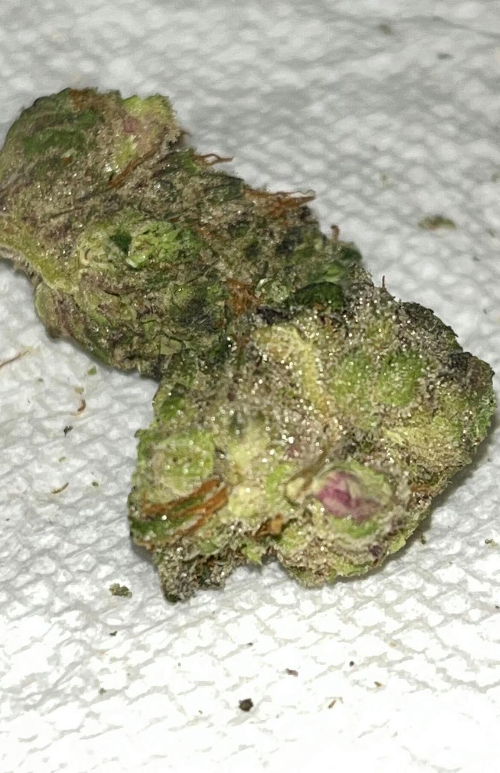 Buy Gas Truffle Strain THCA Hemp Flower Hemp Hop