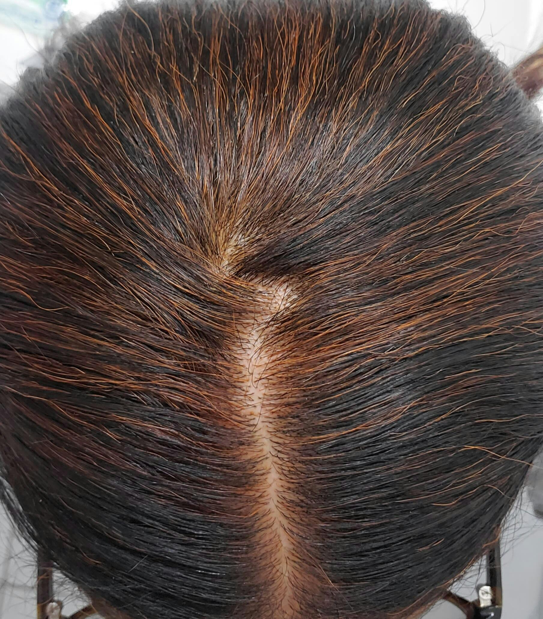 Supreme Henna Powder In House Blend Henna Sooq