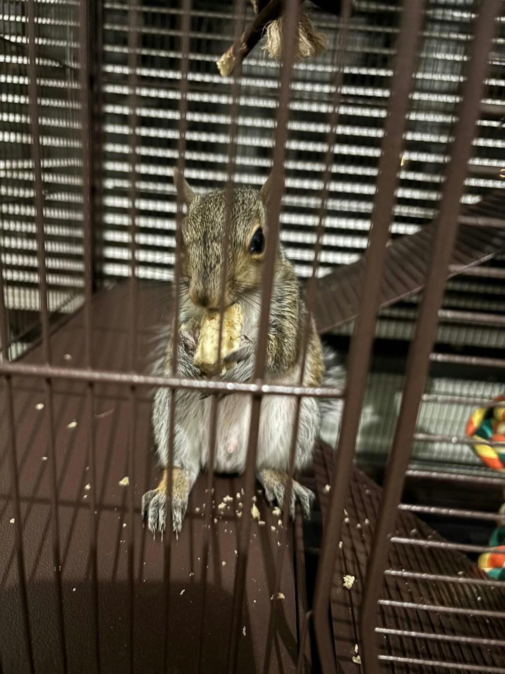 Henry's Blocks Sampler Pack