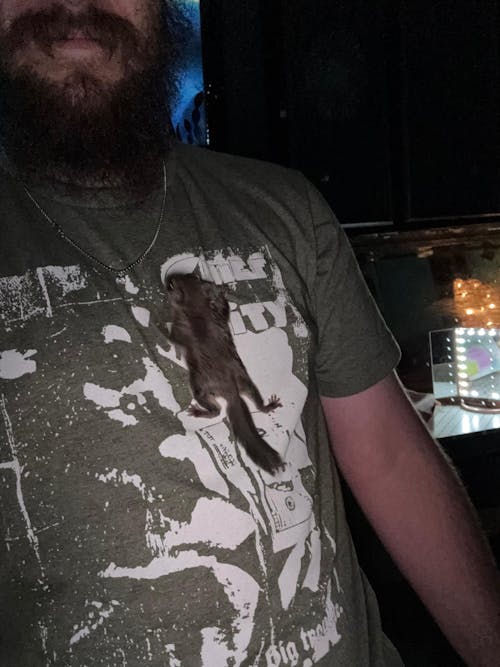 Fox Valley Day One Formula 20/50 for Baby Squirrels