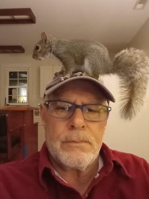 Healthy Blocks - Food for Squirrels, Flyers, Rats and Mice