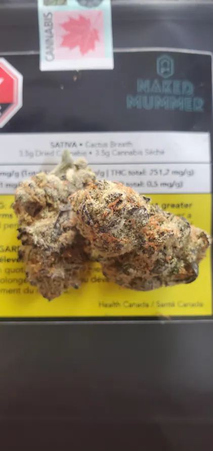 Naked Mummer Cactus Breath  Herbal Dispatch