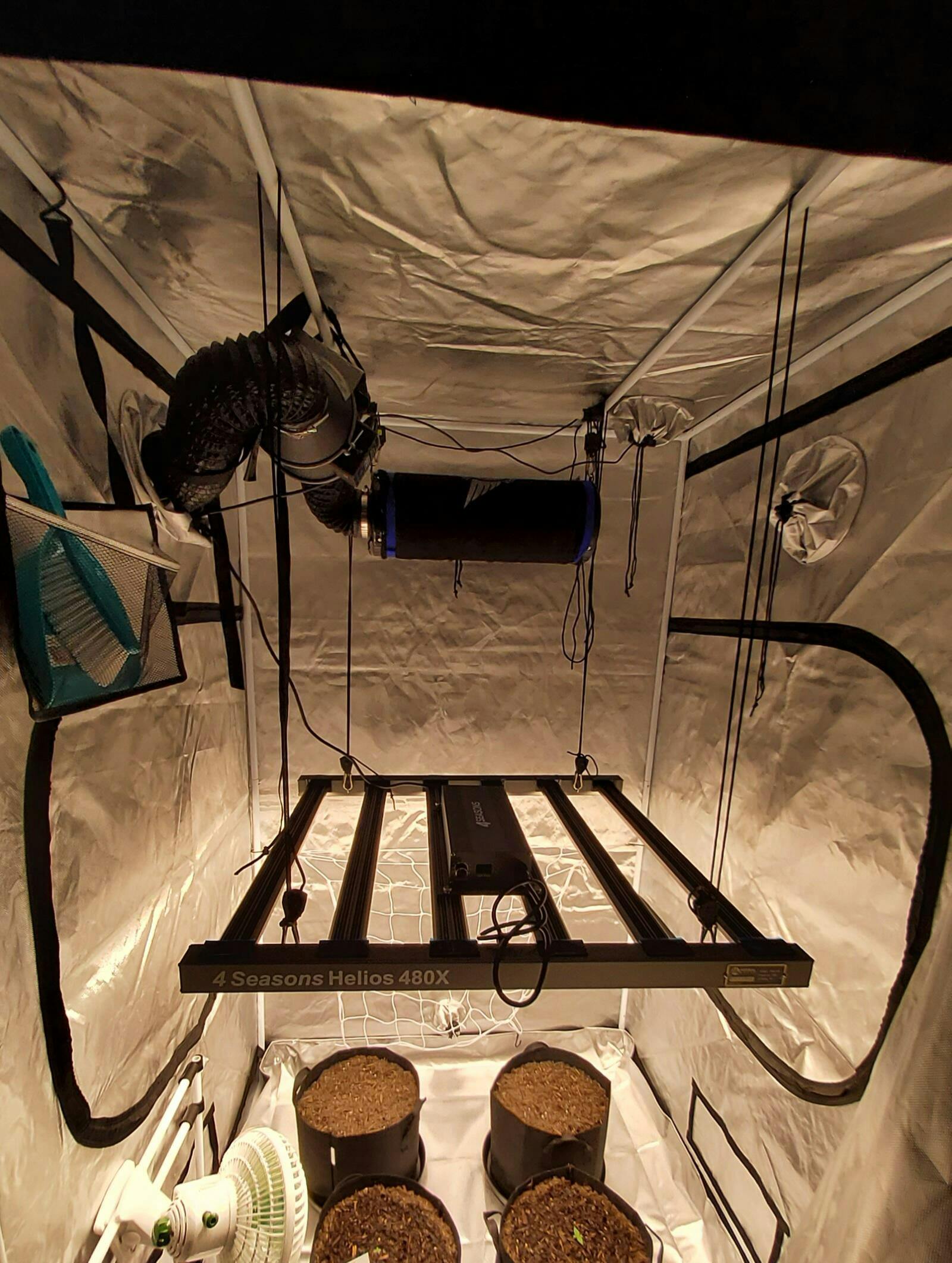 Grow Kits NZ Hydroponic LED Grow Tent KitsStage 2 Herbal House