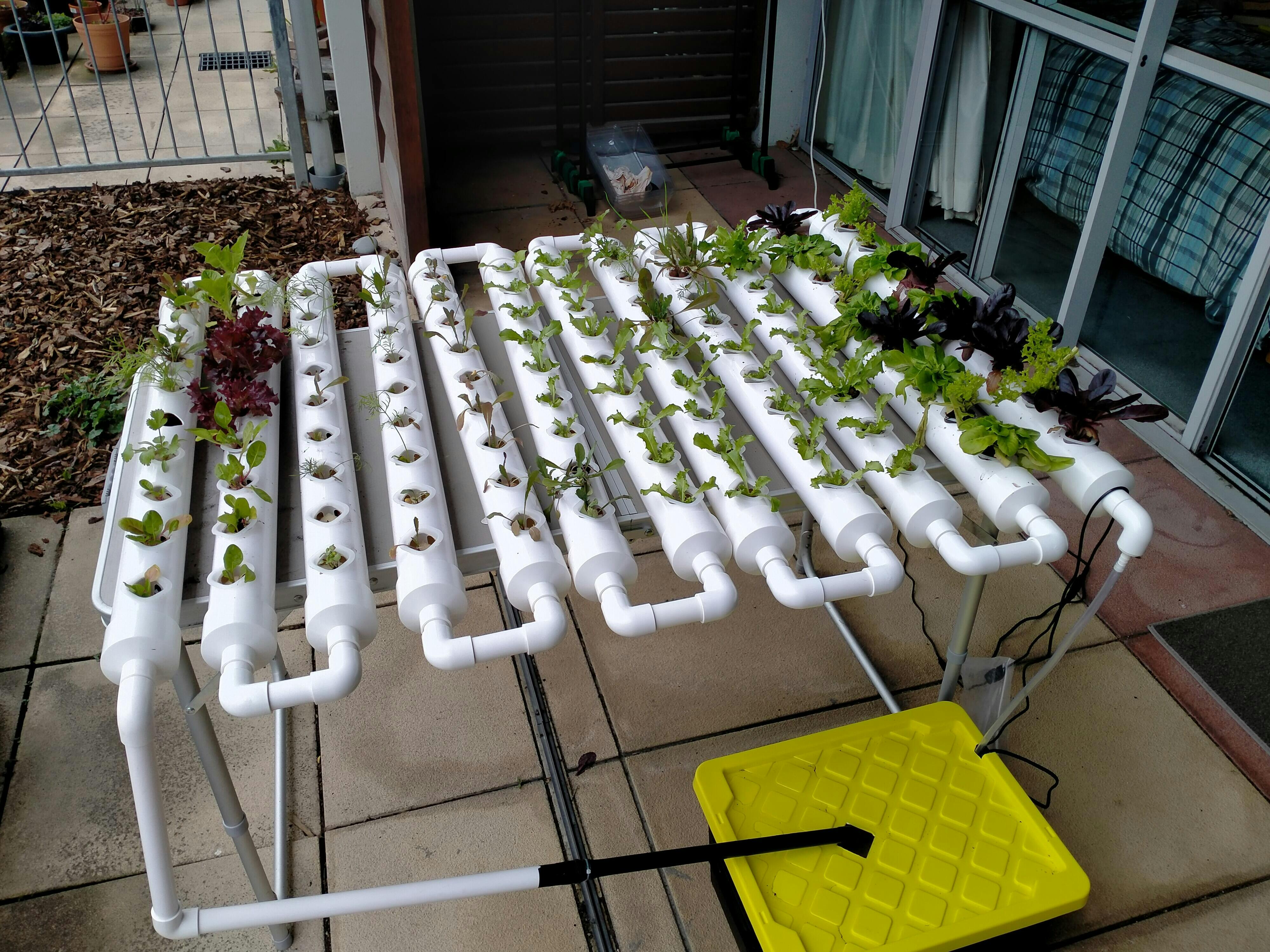 Hydroponics Irving Ny - rhpz1tl