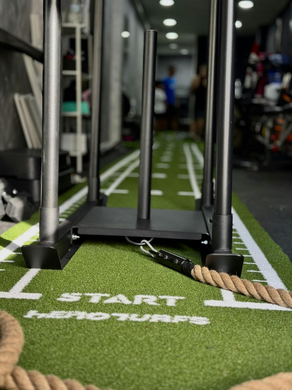 Pista de césped de alto rendimiento con marcaje - Modelo Elysium One