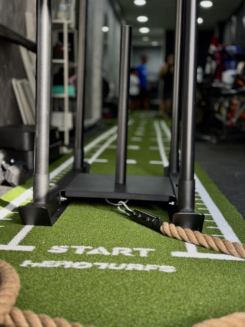 Pista de césped de alto rendimiento con marcaje - Modelo Elysium One