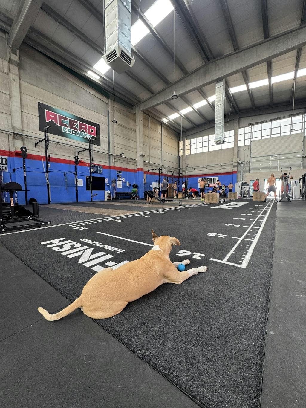 Pista de césped de alto rendimiento personalizada