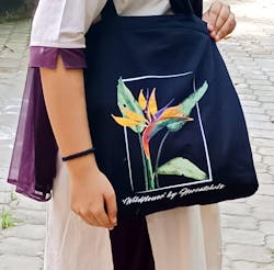 Bird of Paradise