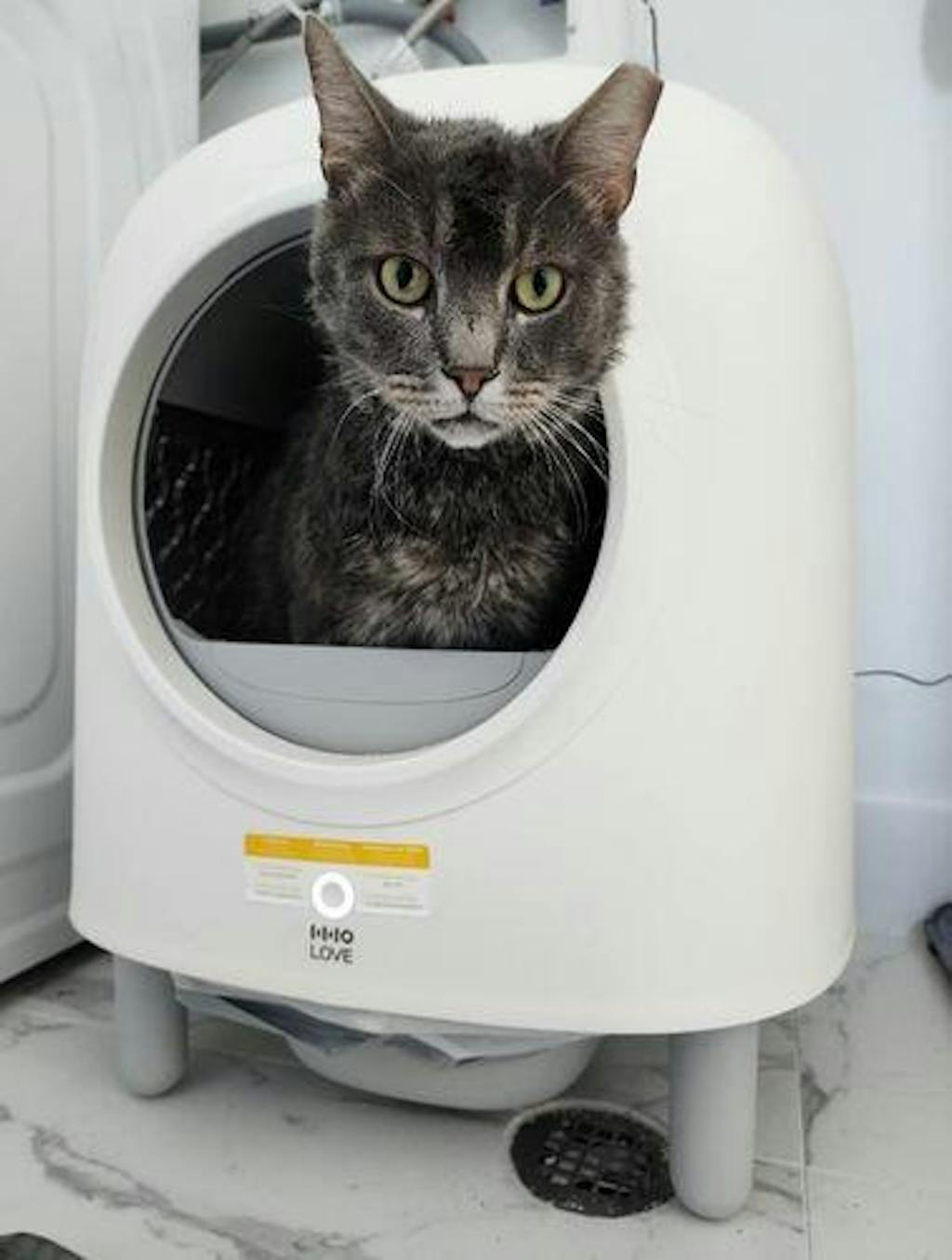 Automatic Cat Litter Box HHOLOVE