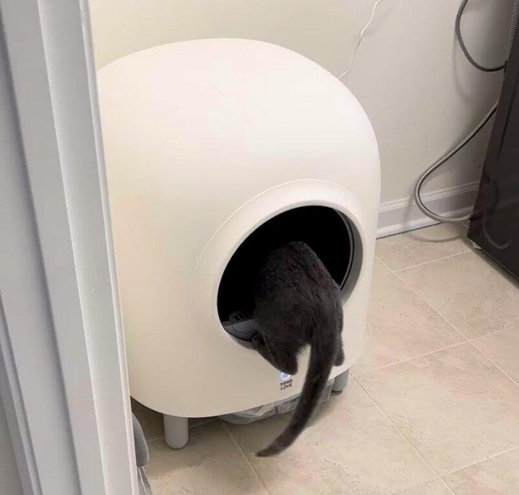 Automatic Cat Litter Box HHOLOVE