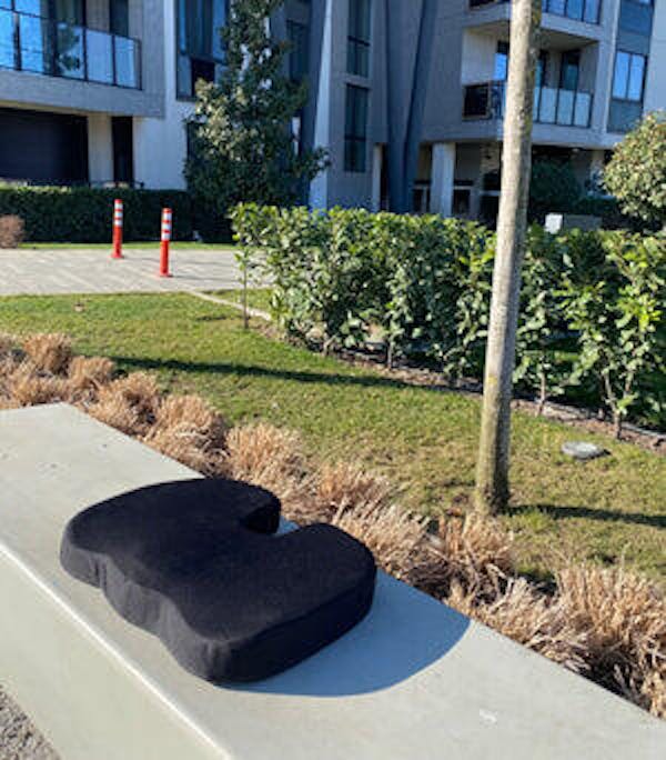 Daily Comfort Seat Cushion