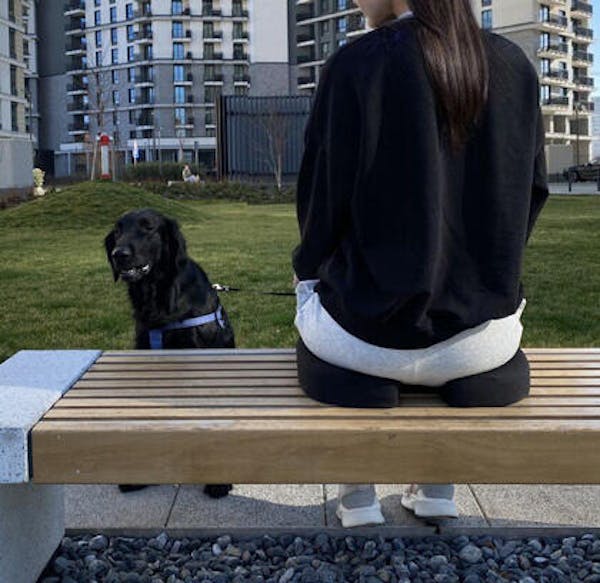 Daily Comfort Seat Cushion