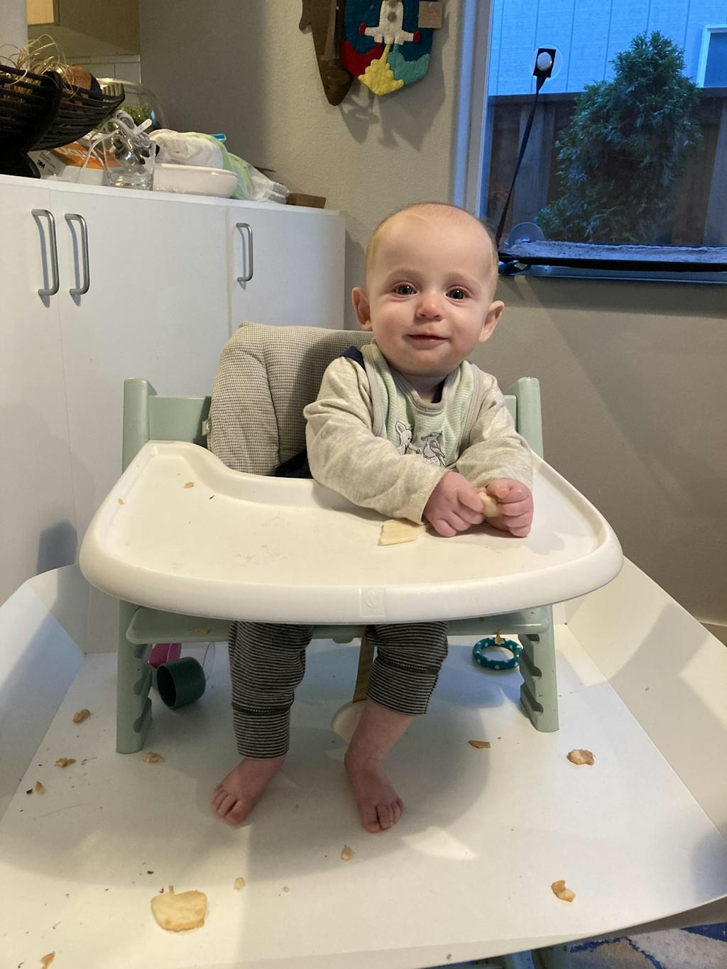 Catchy (for Stokke Clikk) food and mess catcher for high chairs