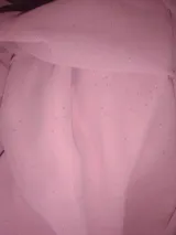 PINK LUSTER -Glitter georgette