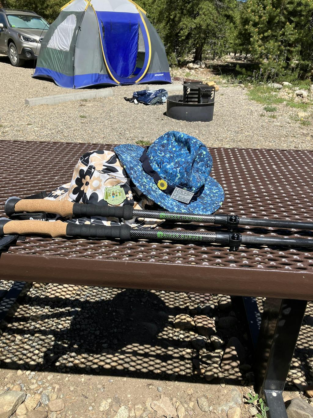 100 Carbon Fiber Trekking Poles Hiker Hunger Outfitters