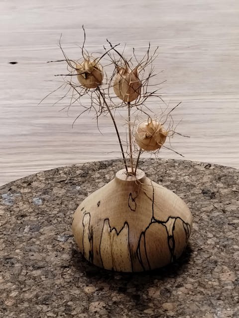 Low Miniature Wooden Bud Vase in Spalted Beech | 5cm