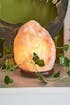Himalayan Salt Lamp 2-3kg