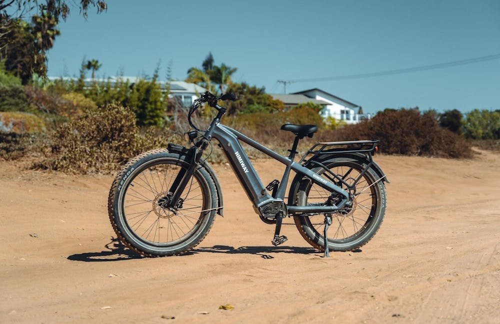 zebra fat bike