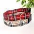 Red Royal Stewart Tartan, Beige Tartan Dog Collar