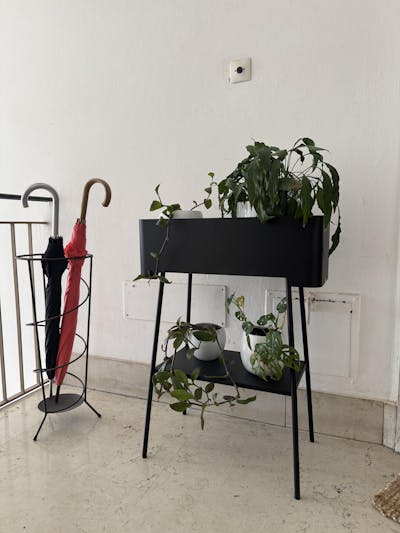 Altea alta - Portavasi