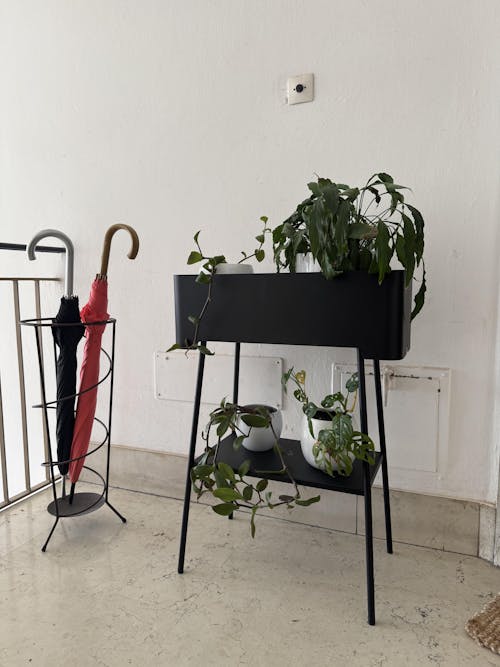 Altea alta - Portavasi