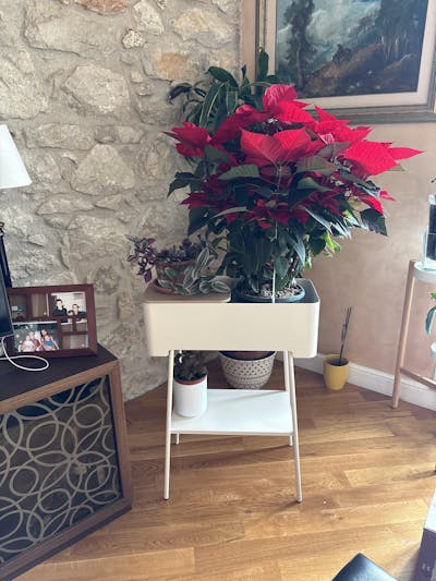 Altea alta - Portavasi