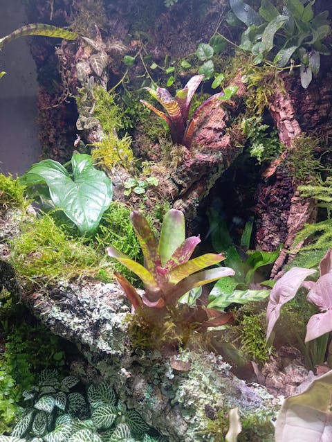 Hobby Jungle