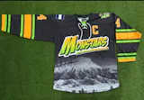 HockeyBeast.net