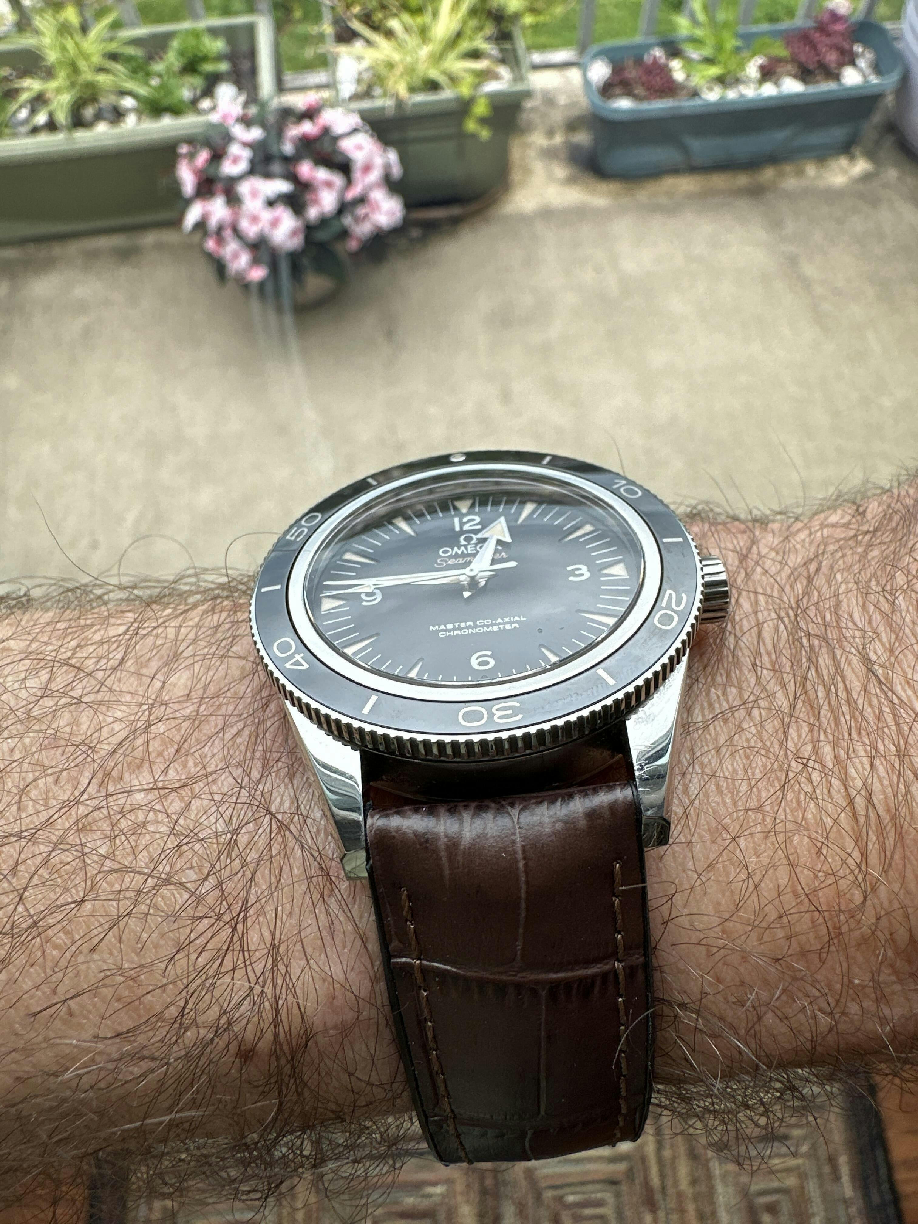Hirsch Paul Gold-Brown Alligator Leather Watch Band Strap