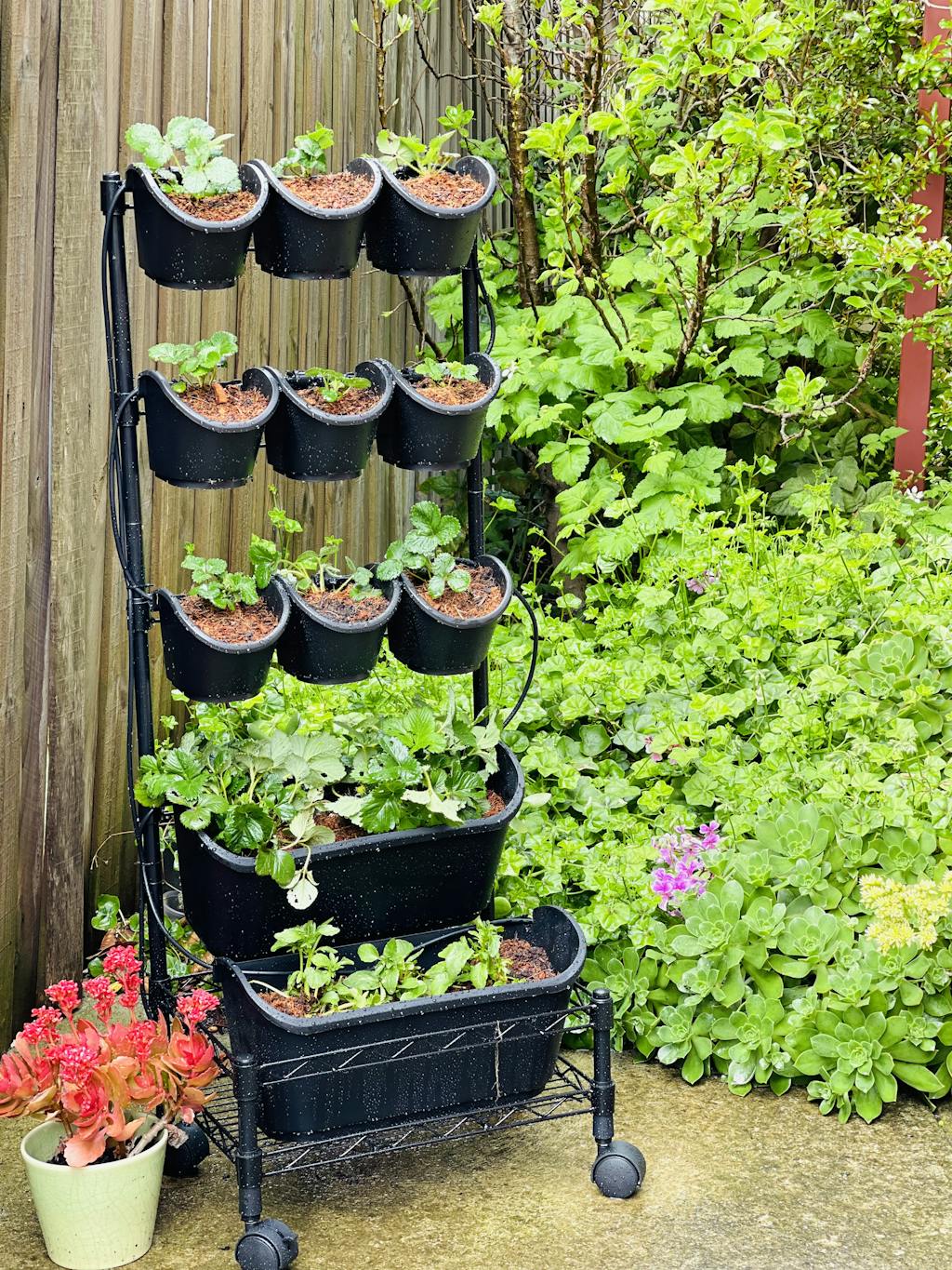 GreenWall® Mobile Garden Kit Holman Industries