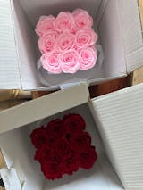 Infinity Rosen | Weiße Box eckig | S