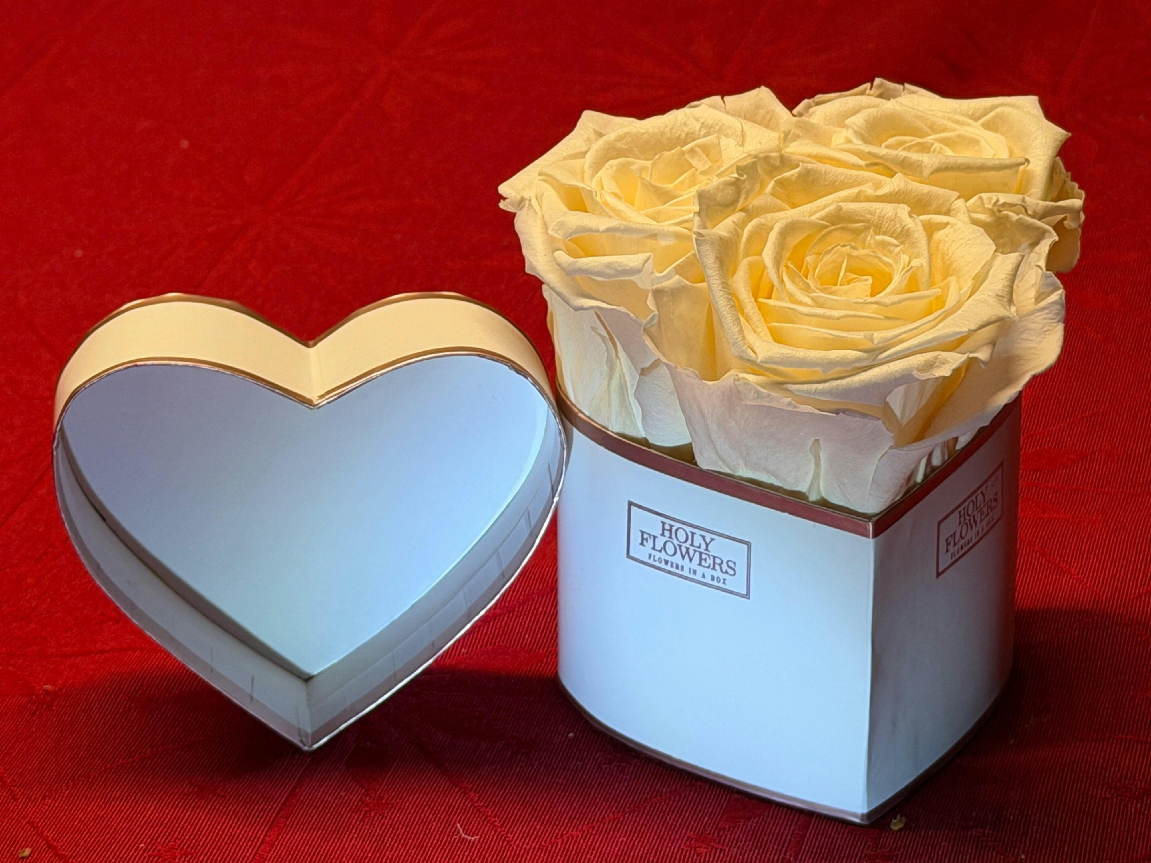 その他 rose Rose Aloha - Kordes Rose Aloha ® - Rosa Aloha - Kordes Rose Aloha