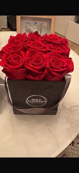 Infinity Rosen | Velvet Box eckig | S