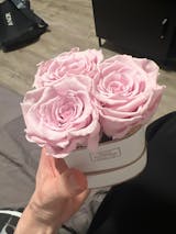 Infinity Rosen | Herz Rosé Box | XS