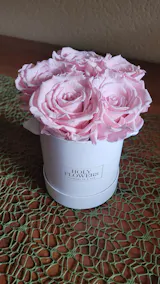 Infinity Rosen | Weiße Box rund | XS