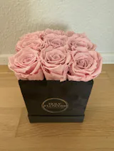 Infinity Rosen | Velvet Box eckig | S