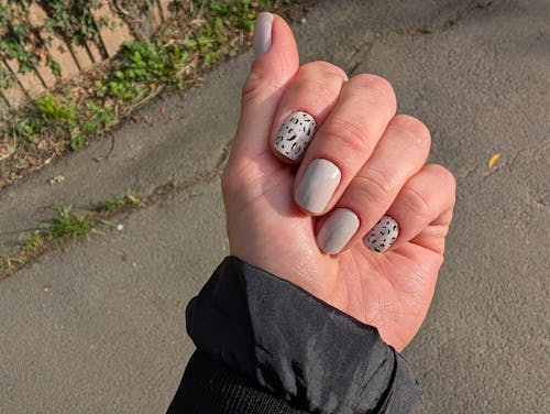 Cheetah - Gels